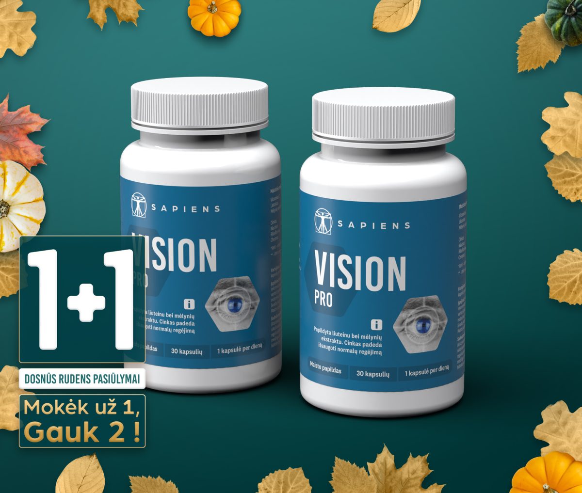 Vision PRO 1+1