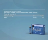 Liposominis magnis
