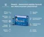Liposominis magnis
