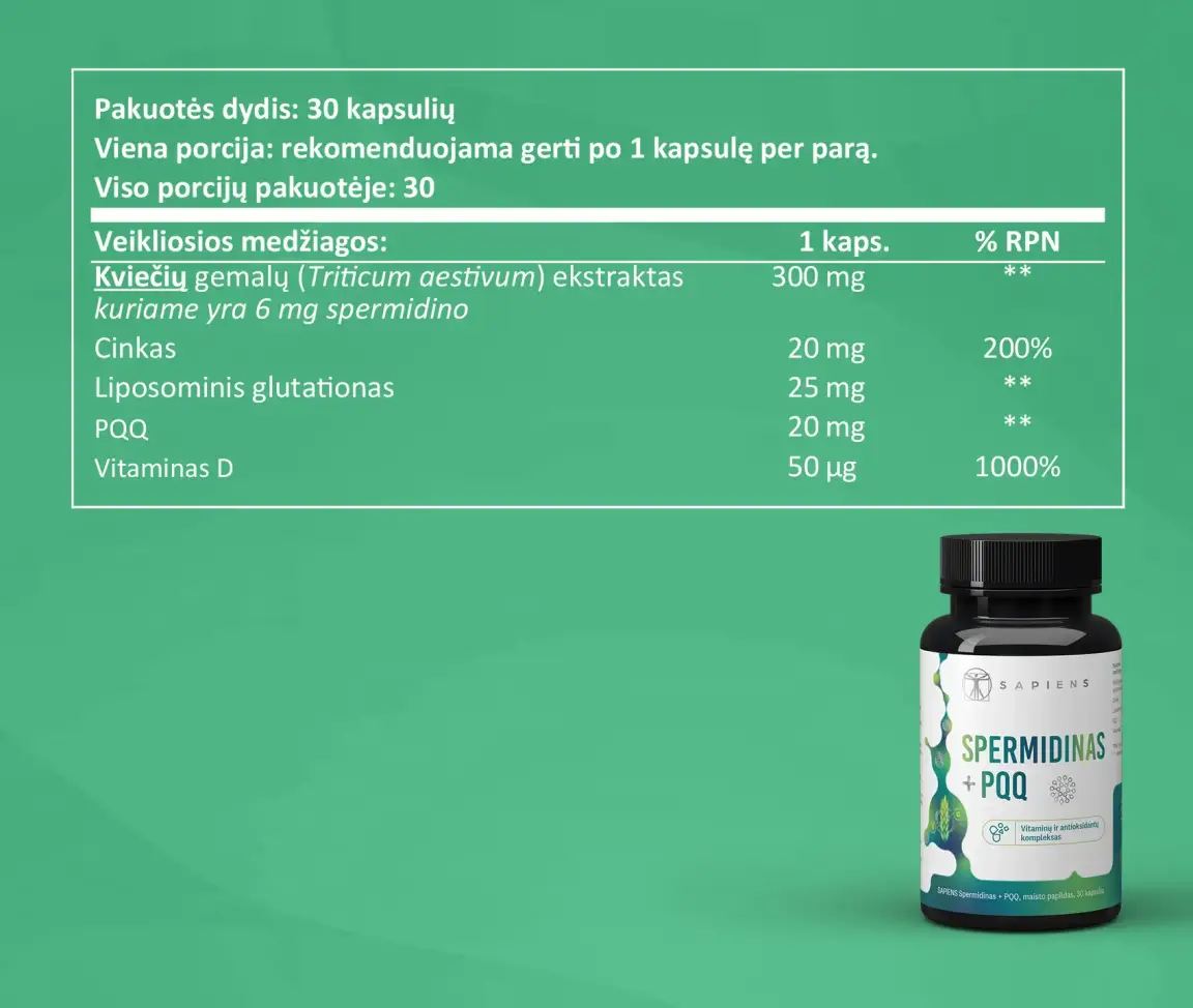 Spermidinas + PQQ 1+1